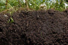 便捷式土壤养分测试仪到底有没有必要用？