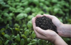 土壤肥料养分速测仪为广大市民解决烦恼
