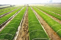 土壤肥料养分速测仪可以促进作物的生长