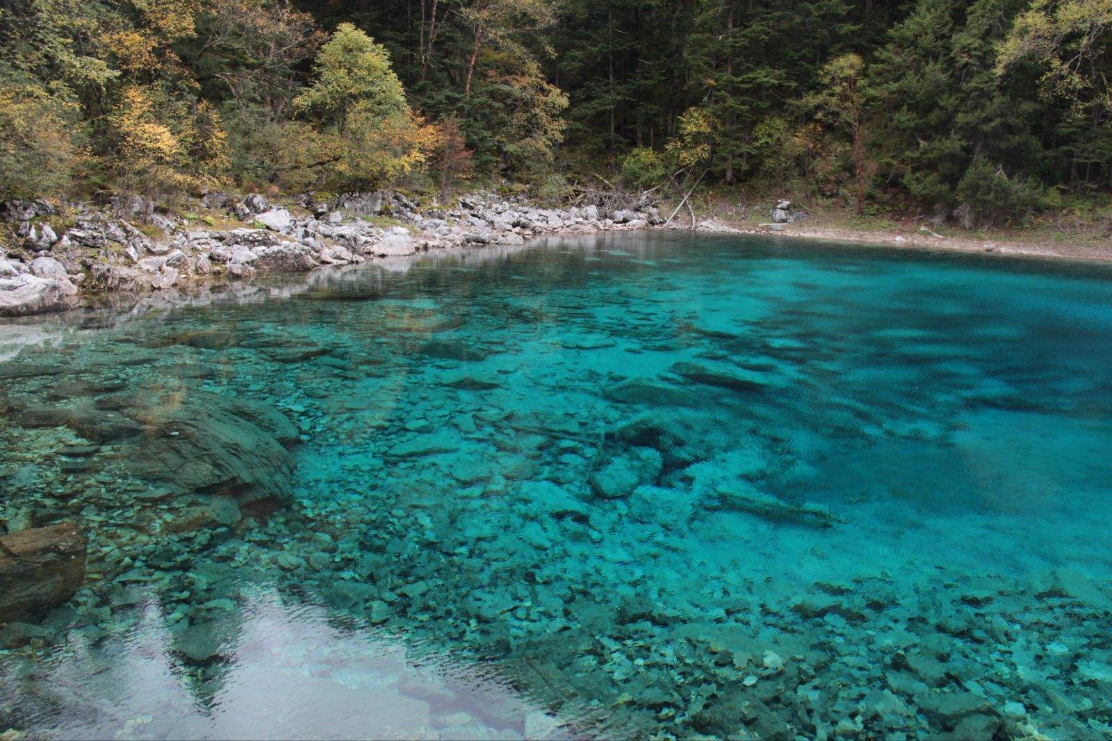 土壤水分测定仪