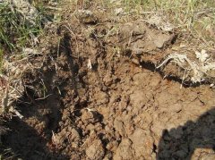 土壤养分速测仪被用户称为土壤疗伤仪