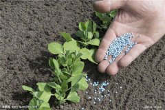土壤肥料养分速测仪浅析植物对于土壤养分的重