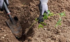 提高可耕地土壤肥力就用土壤养分测定仪