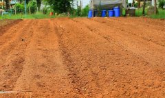 使用土壤养分测试仪加强土壤保护