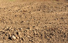 土壤养分检测仪是如何检测土壤养分的？