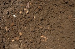 分析不同土层中的养分含量用土壤养分检测仪
