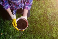 土壤养分速测仪使测土配方施肥效果更好