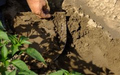 土壤养分测定仪为农业种植者排忧解难