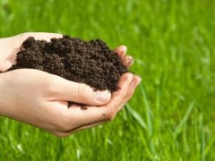 土壤养分测定仪浅谈酸性土壤危害以及预防措施