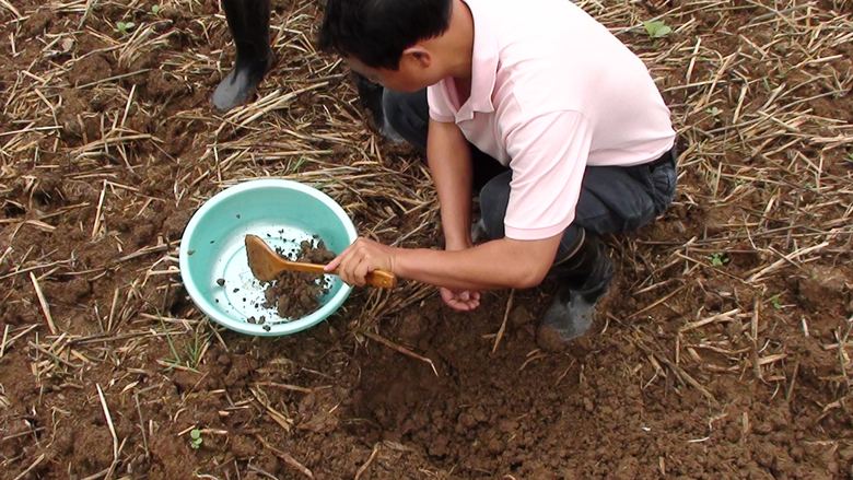 全项目土壤养分测仪