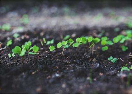 土壤肥料主要养分检测仪