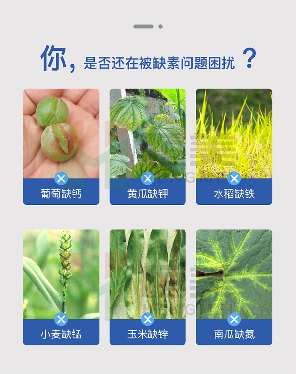高智能土壤养分快速检测仪