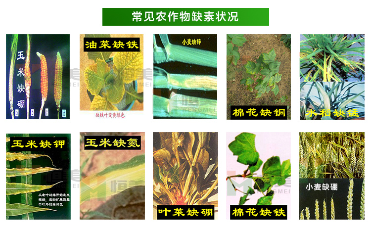 土壤养分测试仪
