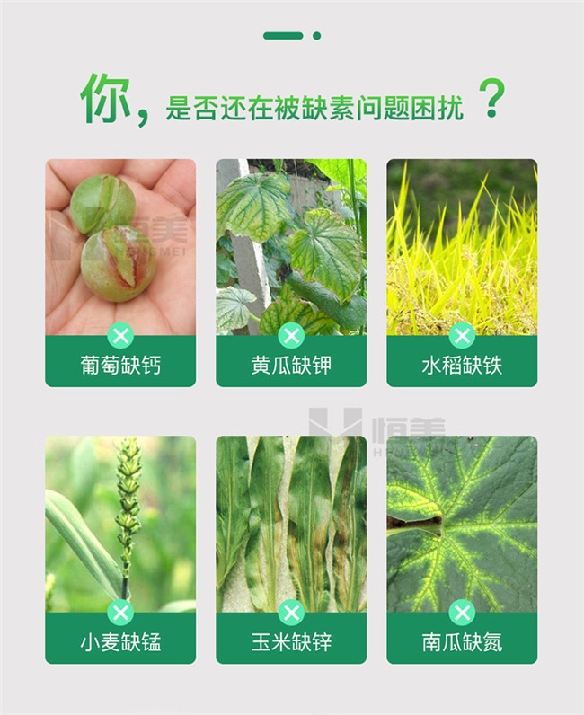 土壤养分速测仪