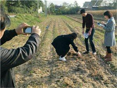 土壤成分检测仪器