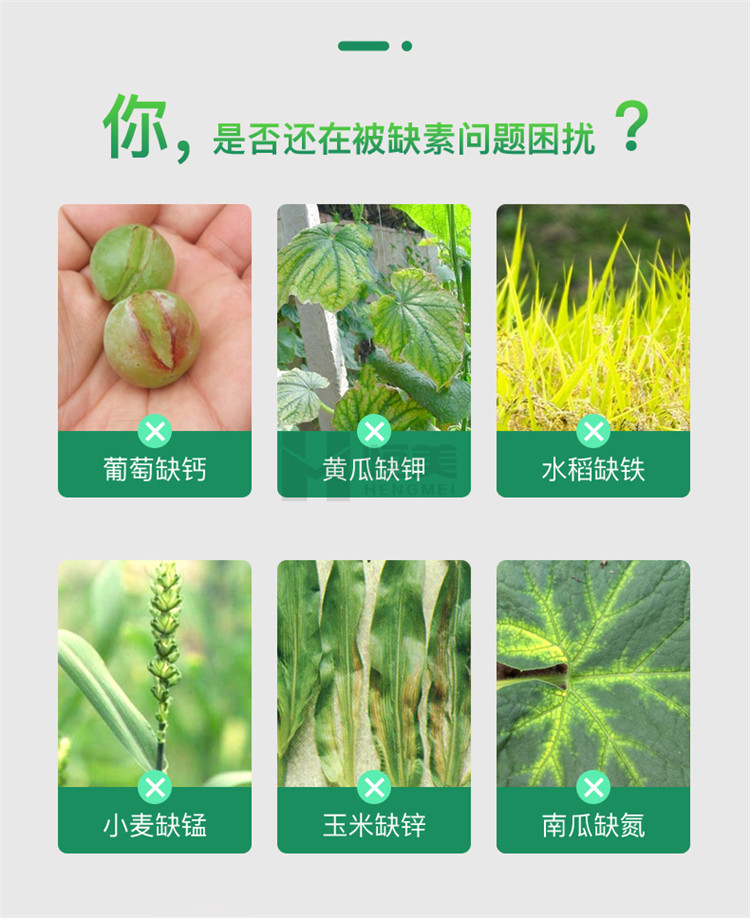 高智能土壤养分快速检测仪
